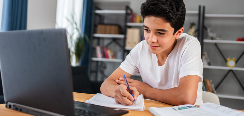 What is a gacha game